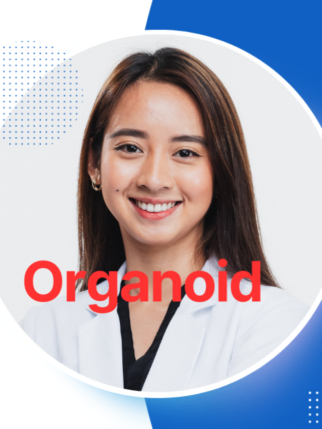 Organoid Culture Optimization